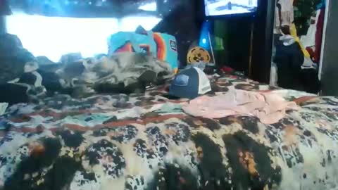 breezworld online show from 11.19.25