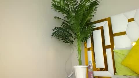 Snapshot of brennan007 chatting on 01.30.25 brennan online show from 01.30.25