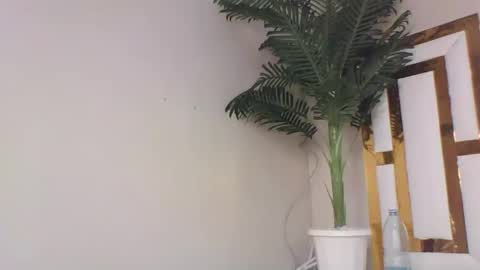 Snapshot of brennan007 chatting on 02.14.25 brennan online show from 02.14.25