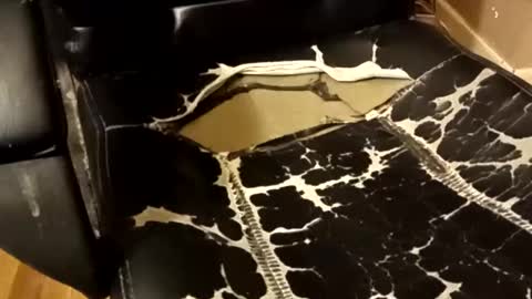 Snapshot of brian0169 chatting on 12.14.25 BB online show from 12.14.25