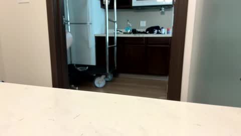 brickmeup online show from 04.08.26