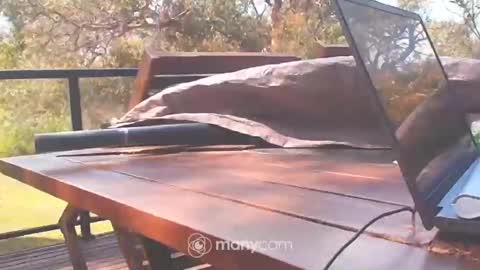 Snapshot of bridie3079 chatting on 10.10.25 Fun Monster online show from 10.10.25