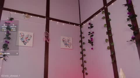 Snapshot of brie_cheese1 chatting on 01.04.25 Brie Ill be away November 2829 and 30. See u on Sunday for more fun online show from 01.04.25