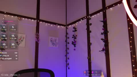 Snapshot of brie_cheese1 chatting on 02.12.25 Brie Ill be away November 2829 and 30. See u on Sunday for more fun online show from 02.12.25