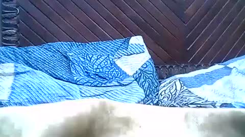 Josh online show from 12.28.24