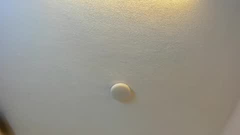 Brittany  online show from 10.13.25