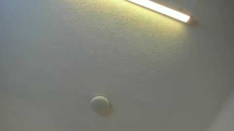 Brittany  online show from 03.29.26