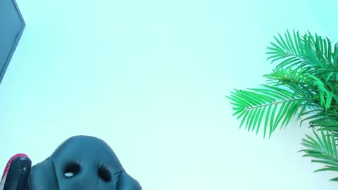 Snapshot of briyit_doll chatting on 02.01.25 BRIYIT online show from 02.01.25