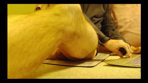 brode3 online show from 01.06.26