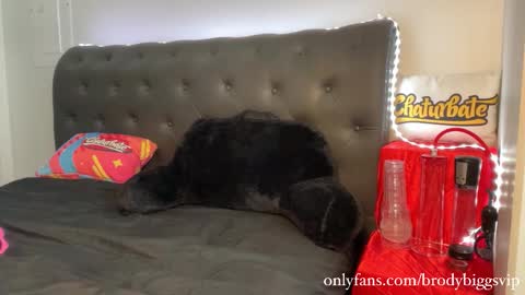 Snapshot of brodybiggs chatting on 11.30.25 Brody Biggs online show from 11.30.25