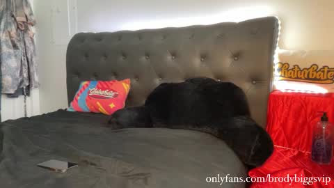 Snapshot of brodybiggs chatting on 01.09.26 Brody Biggs online show from 01.09.26