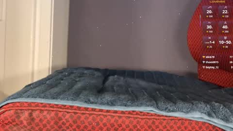 Brsrkr online show from 01.08.26