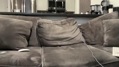 brwm2013 online show from 01.12.25