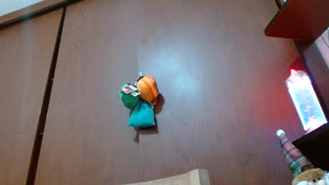 Enjoy the best muscle straws   online show from 02.11.25