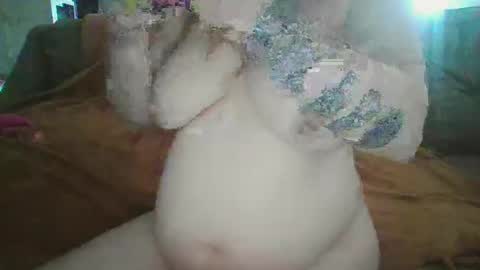 Kitty online show from 03.07.25