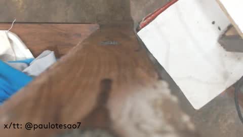 buldgeinboxer online show from 02.17.25