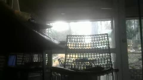 bulldog302w online show from 01.14.26