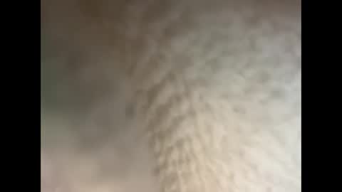 bull cub online show from 12.05.24