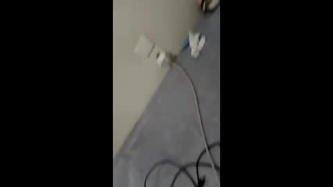 Snapshot of bullspain27266272 chatting on 01.29.25 bullspain27266272 online show from 01.29.25