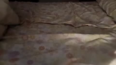 Snapshot of bullspain27266272 chatting on 03.03.25 bullspain27266272 online show from 03.03.25