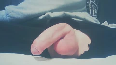 Dutch cock online show from 02.23.25