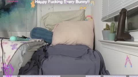 Tokki  bunny  online show from 12.04.24