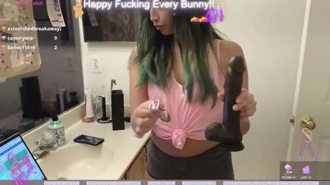 Tokki  bunny  online show from 12.05.24