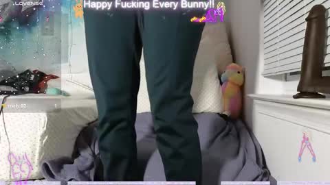 Tokki  bunny  online show from 12.12.24