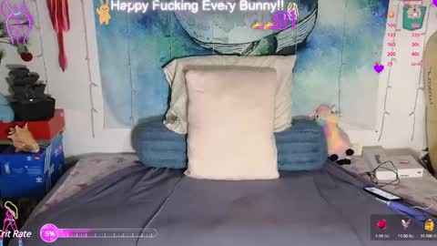 Tokki  bunny  online show from 02.11.25