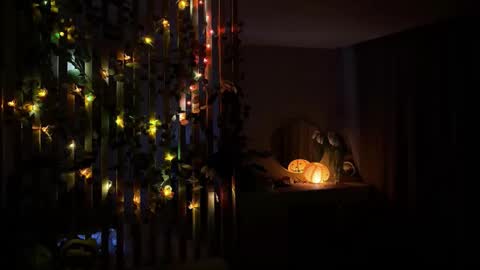 bunnypure online show from 01.15.26