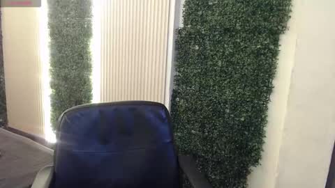 bunny online show from 01.05.26