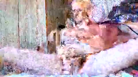 burnzart online show from 09.22.25