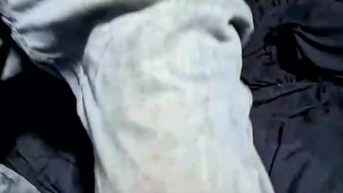 Buster18Hymen online show from 10.21.25