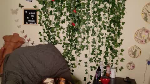 Snapshot of butterflybootyy chatting on 11.03.25 butterfly booty online show from 11.03.25