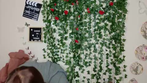 Snapshot of butterflybootyy chatting on 11.14.25 butterfly booty online show from 11.14.25