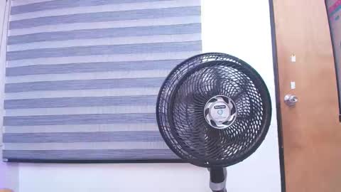 Snapshot of c_fox_ chatting on 02.19.25 Carolina online show from 02.19.25