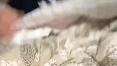 Marco online show from 12.09.24