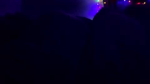 calishop1 online show from 02.09.25