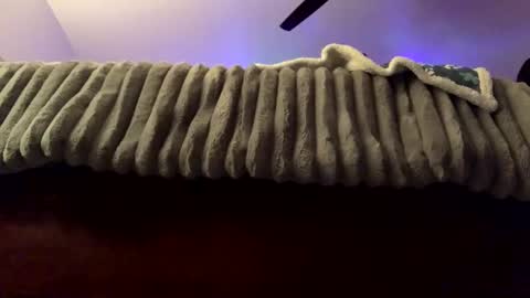 calishop1 online show from 02.22.25