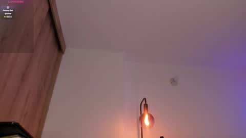 Snapshot of cameron_lyra chatting on 11.25.25 Cameron online show from 11.25.25