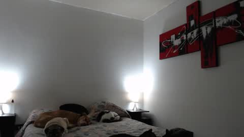 Snapshot of camila_bigcock_ts chatting on 03.12.25 camila online show from 03.12.25