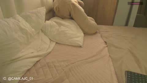 Snapshot of cammile_cole chatting on 01.18.26 Laura Camila online show from 01.18.26