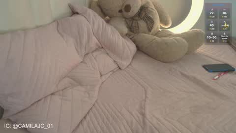 Snapshot of cammile_cole chatting on 02.07.26 Laura Camila online show from 02.07.26