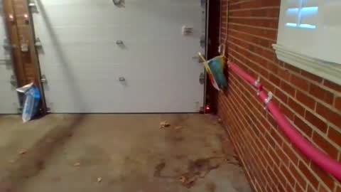 cammyman6900 online show from 12.09.24