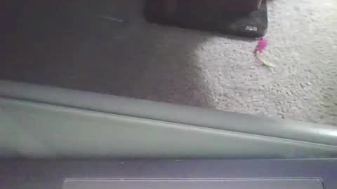 cammyman6900 online show from 09.11.25