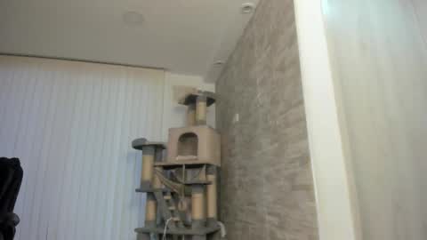 Snapshot of candy_queen81 chatting on 11.15.25 candy_queen81 online show from 11.15.25