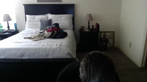 captmorgan30263 online show from 02.26.25