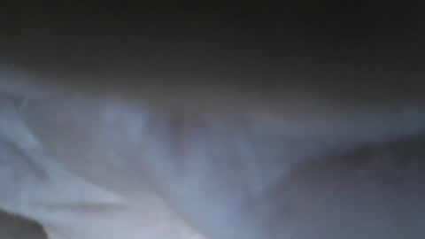 carl_mader online show from 07.31.26