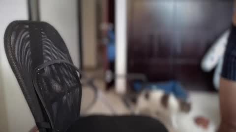 carlcarlinches4 online show from 03.10.25