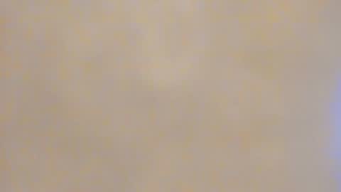 Snapshot of carliescott_meow chatting on 01.23.25 Carlie online show from 01.23.25